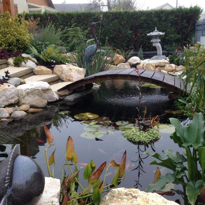 Créer un jardin aquatique Selongey